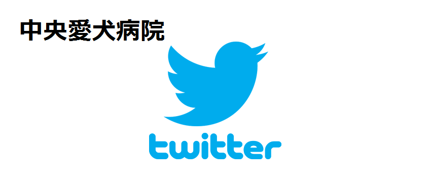 中央愛犬病院 twitter