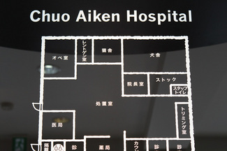 中央愛犬病院 診療のご案内